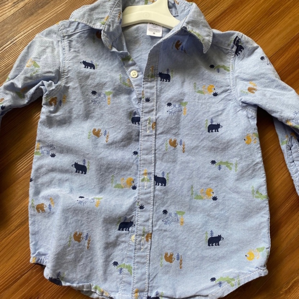 Carters button down shirt